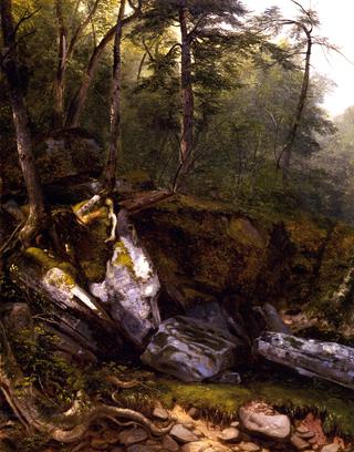 从自然中习作：纽约卡茨基尔的岩石和树木