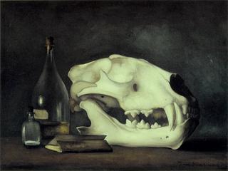 Still life with tiger skull, two bottles and booklets