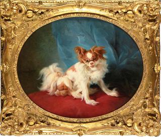 Portrait of a King Charles Spaniel