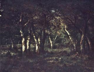 Forest of Fontainbleau