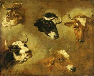 Study of Cows' Heads