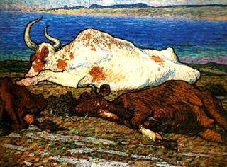 Resting Cows