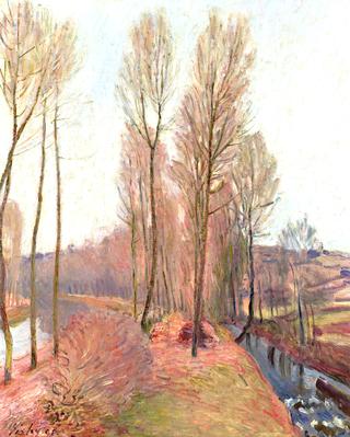 The Orvanne and the Canal du Loing in Winter