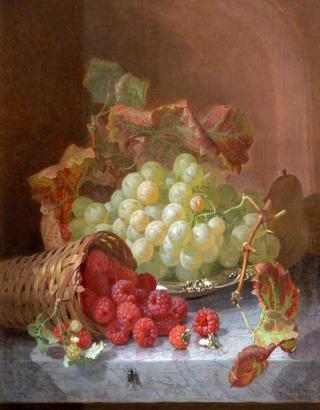 Still Life with Grapes and with Raspberries Spilling out of a Basket