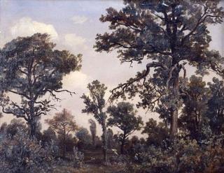 The Large Oak Tree, Forest of Fontainebleau