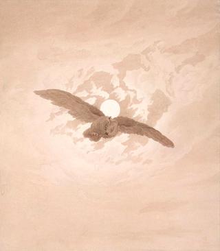 猫头鹰在月光下飞翔