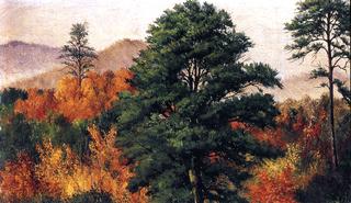 Autumn Scene in the North Carolina Mountains
