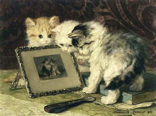 three curious kittens