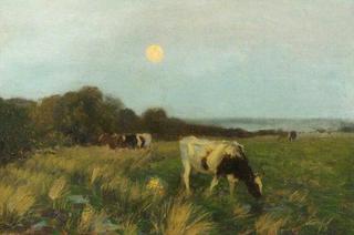 Cattle in Moonlight