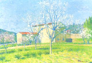 Orchard in Bloom at Alet-les-Bains (Aude)