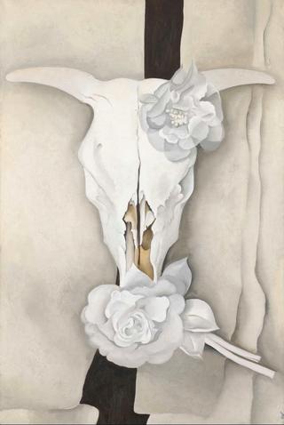 牛头骨和白布玫瑰
