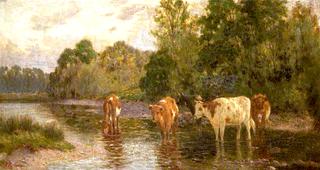 浅溪中的牛