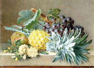 A Still Life with Pineapple, Grapes and Pomegranate