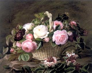 A basket of pink and white and red roses with honeysuckle
