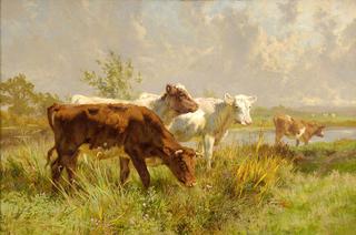 Spring meadow with calves