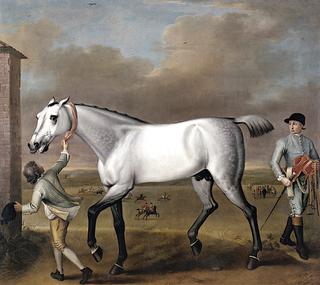 The Duke of Hamilton's Grey Racehorse 'Victorious' at Newmarket