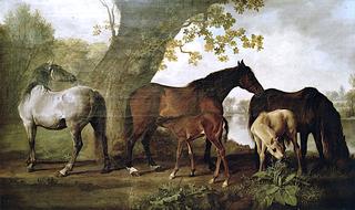 Mares and Foals by a Stream