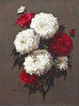 A bouquet of white and red chrysanthemums