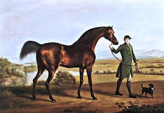 A Horse Belonging to the Rt. Honorable Lord Grosvenor, Called 'Bandy' from His Crooked Leg