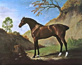A Dark Bay Horse Belonging to the Duke of Marlborough, Seen near Toadstools on a Tree Stump