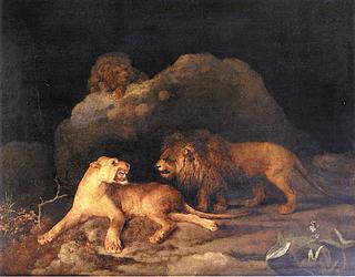 Lions and a Lioness: A Den of Lions