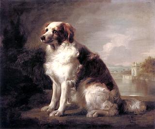 A Red and White Dog in a Landscape, with a Castellated Tower in the Background