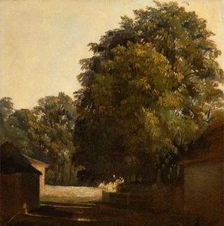 Landscape with Chestnut Tree