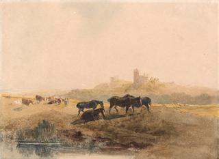 布尔索弗城堡附近草地上休息的马