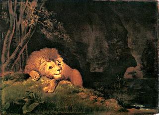 A Lion Resting above a Rocky Pool