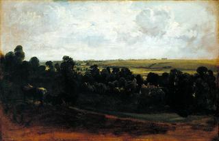 Landscape with Horses Grazing