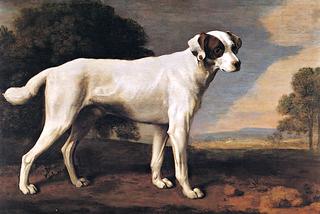 戈曼斯顿子爵的白狗