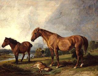 Portraits of Blackthorn, a Broodmare, with Old Jack, a Favourite Pony, the Property of E. Mundy, Esq