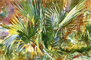 Palm Thicket