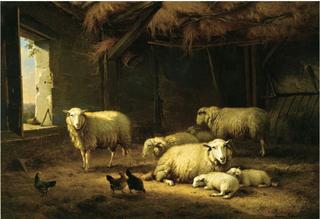 Sheep and Chickens in a Barn