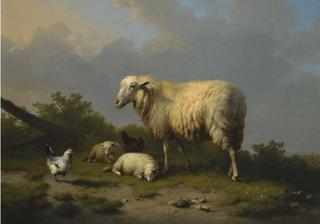 Sheep and Chickens at a Pasture