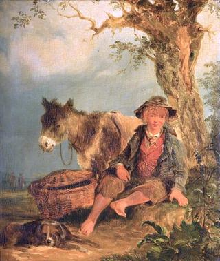 男孩和驴子的风景
