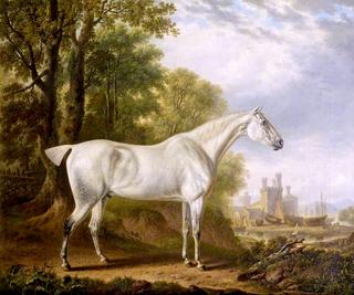 “比利”是詹姆斯·迪尔登最喜欢的马
