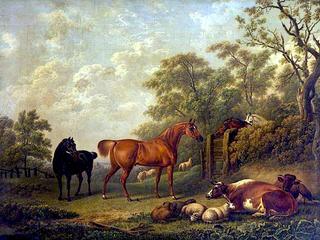 栗色和黑色赛马与牛在一块田地里