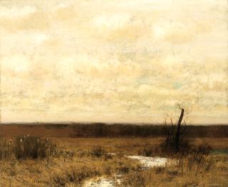 Marsh on Prairie