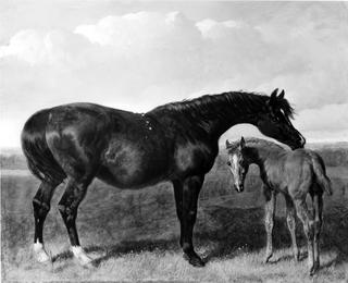 Mare with Foal