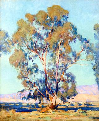 Eucalyptus Tree in a Landscape