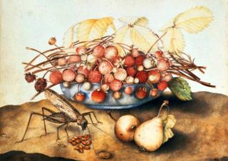 Bowl of Strawberries, Pears and a Grasshopper