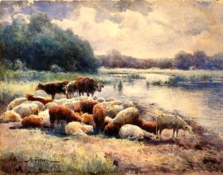 河边的羊