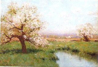 Apple Orchard in Spring