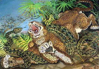 Leopard attacked by a Snake
