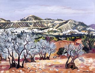 Olive Trees and Striped Alpilles