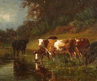 Cows Drinking from a Stream