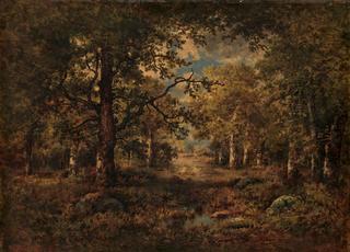 A Vista through Trees: Fontainebleau