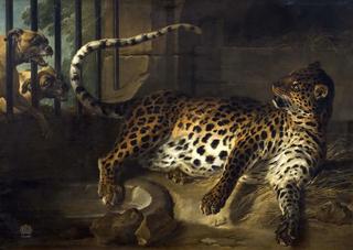 笼子里的美洲豹与两只獒对峙