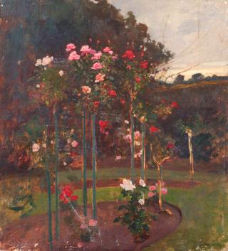 Standard Roses in a Garden